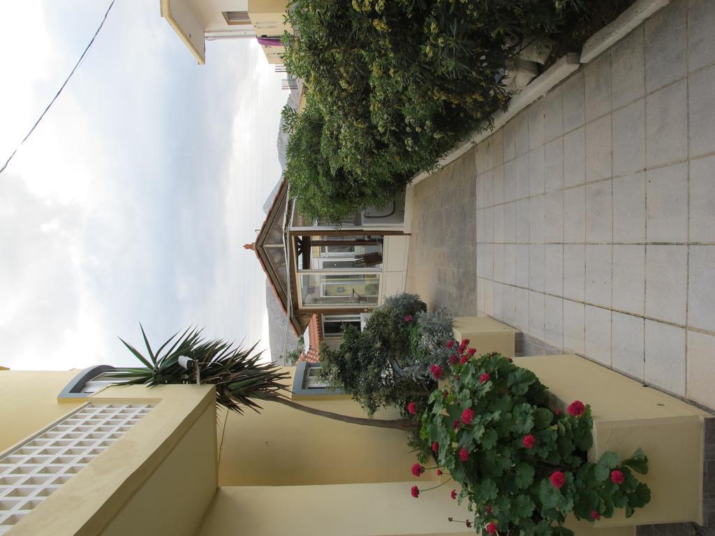 Apartament Albatross *